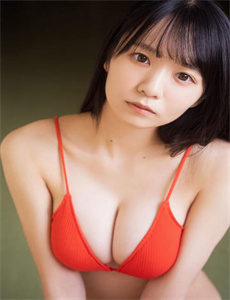 《狂飙电视剧免费全集在线观看西瓜》